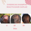 Shampoo Reactivador Capilar